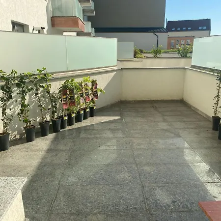 Salcamului * كلوج-نابوكا