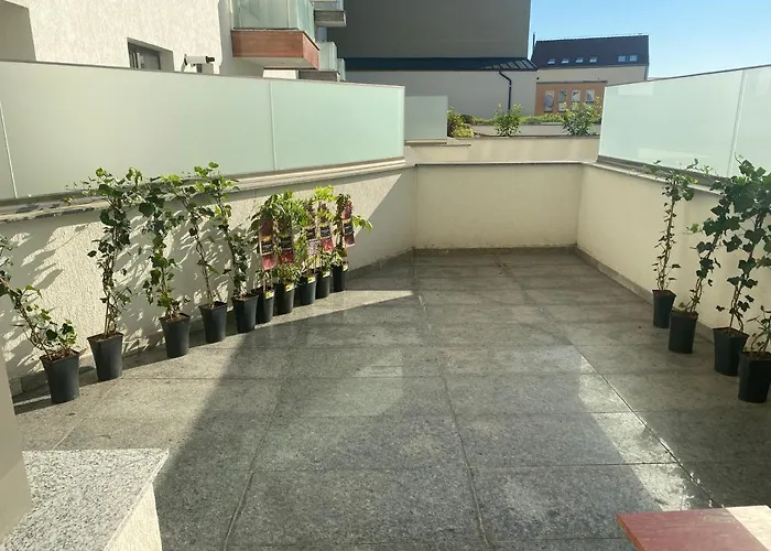 Salcamului * كلوج-نابوكا