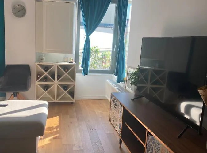 Salcamului كلوج-نابوكا